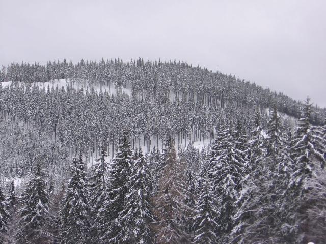 Lyže záchranáři Horní Mísečky 2008 > obr (74)